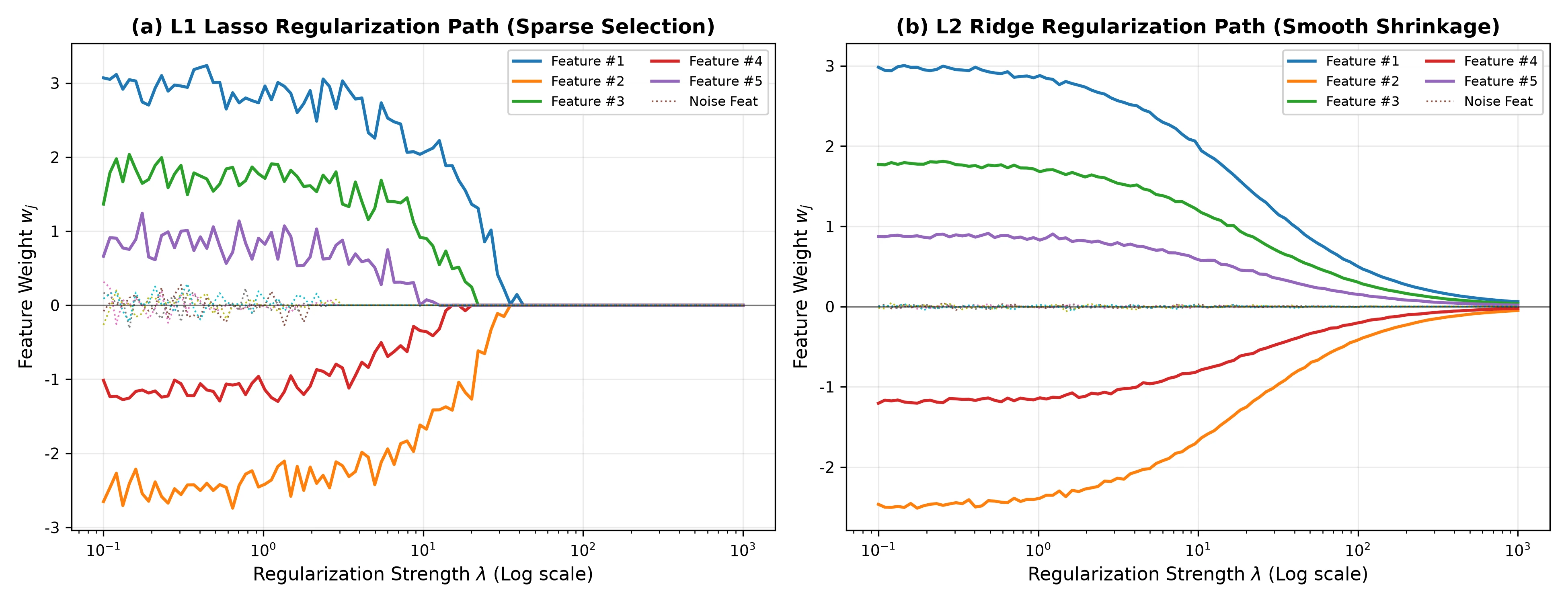 L1 Lasso 稀疏筛选路径与 L2 Ridge 平滑收缩路径对比