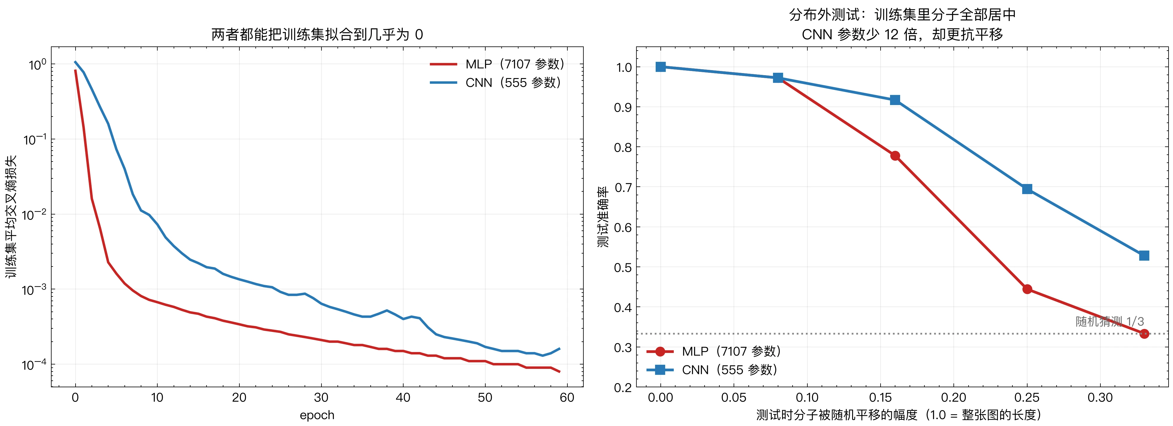 MLP vs CNN：损失曲线与平移鲁棒性